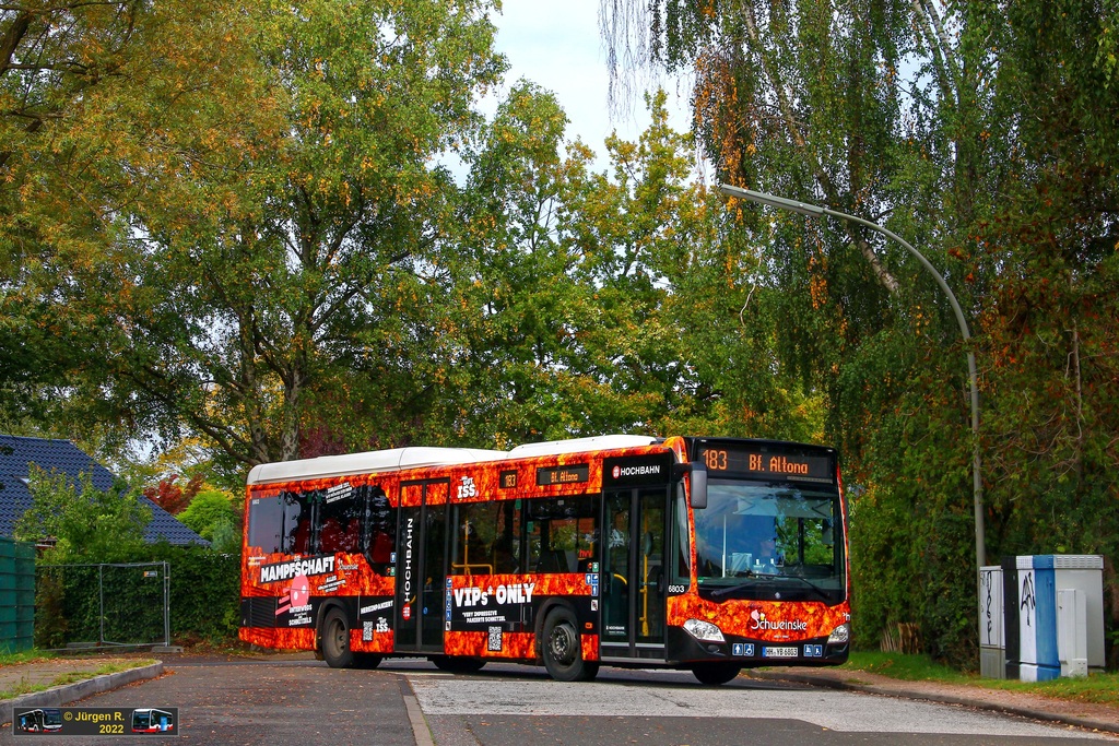 Ein Bild, das Text, Baum, drau�en, Bus enth�lt.

Automatisch generierte Beschreibung