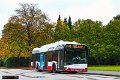 2026-21,HHA,JN