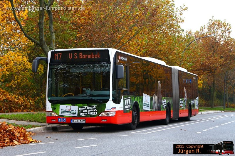 7336-32,HHA,JN.jpg