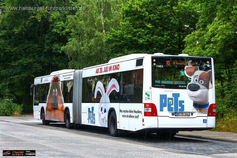 7463-33,HHA,JN.jpg