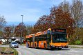 7436-71,HHA,JN