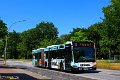 7455-81,HHA,JN