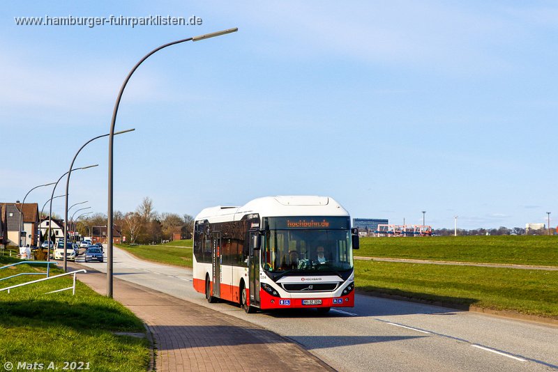 8204-31,(ex SBG 8204),HHA,AM.jpeg