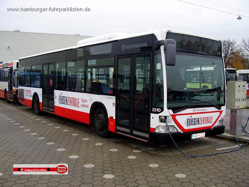 2310-31,HHA,HT.JPG