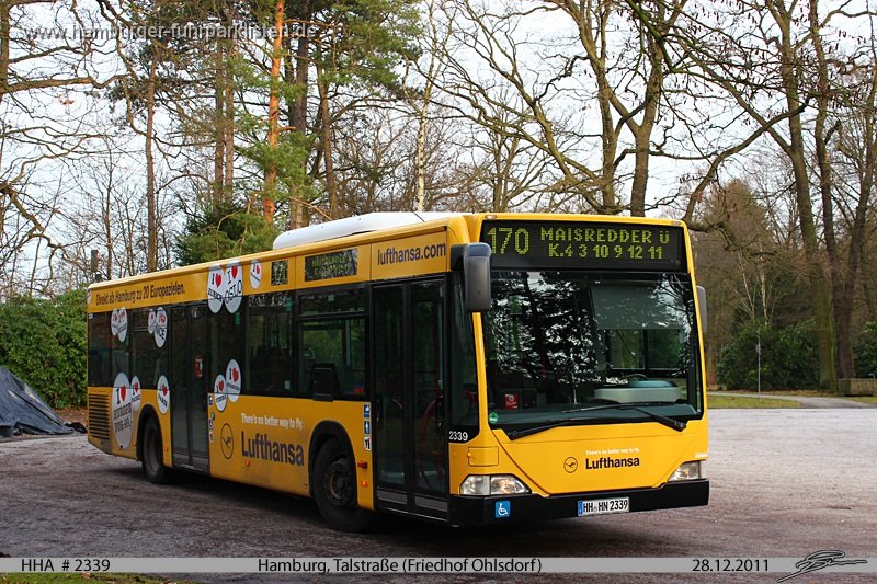 2339-81,HHA,TS.jpg