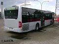 0804-18,VHH,AB