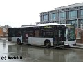 1024-31,VHH,AB