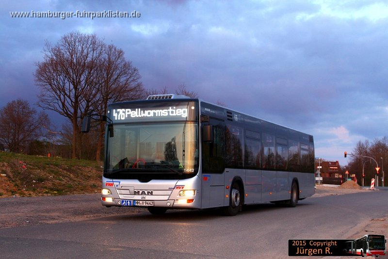 1442-17,VHH,JN.jpg