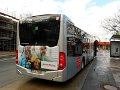 1401-24,VHH,NS