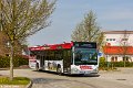 1411-41,VHH,TS
