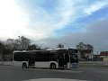 1415-11,VHH,NS
