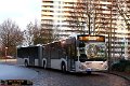 1424-11,VHH,JN