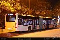 1427-19,VHH,TS