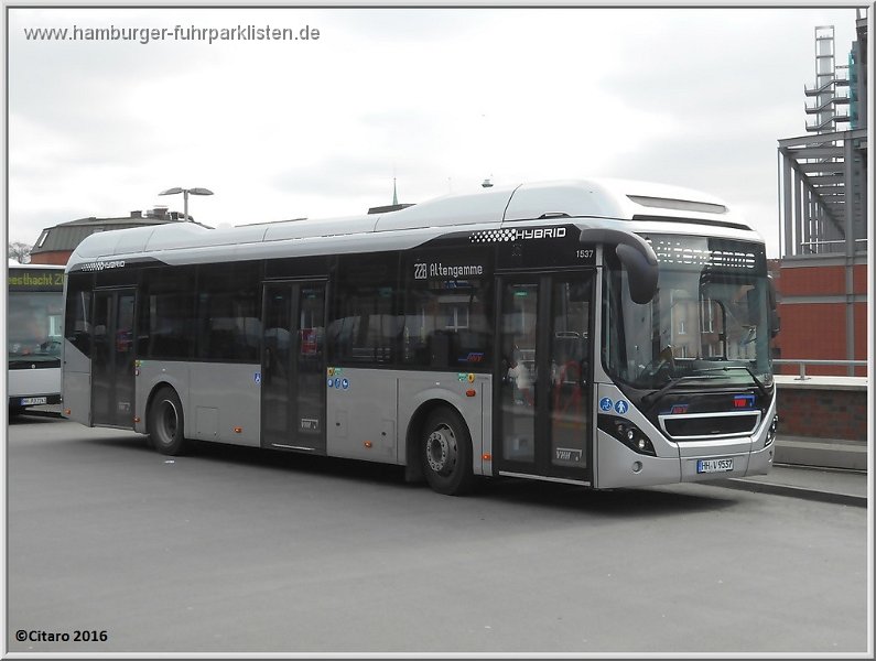 1537-11,VHH,CO.jpg