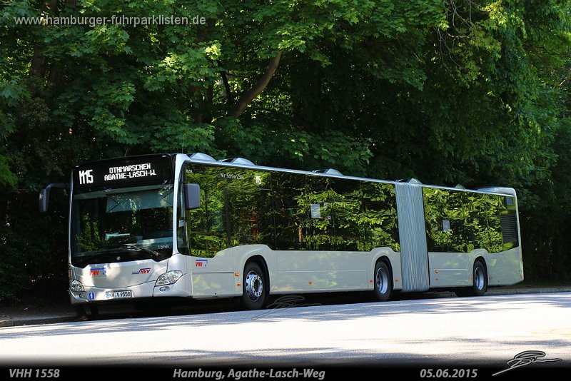 1558-12,VHH,TS.jpg