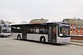 1508-16,VHH,NS