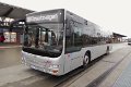 1508-17,VHH,NS