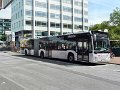 1551-11,VHH,NS