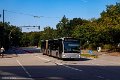 1556-11,VHH,AM