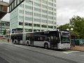 1559-11,VHH,NS