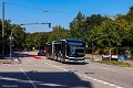 2212-11,VHH,AM