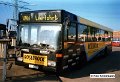 9233-32,VHH,NS