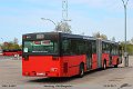 9902-24,VHH,NS
