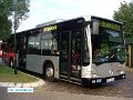 0655-10,PVG,CJ