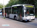 0659-11,PVG,CJ