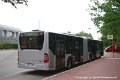 1151-14,PVG,DS