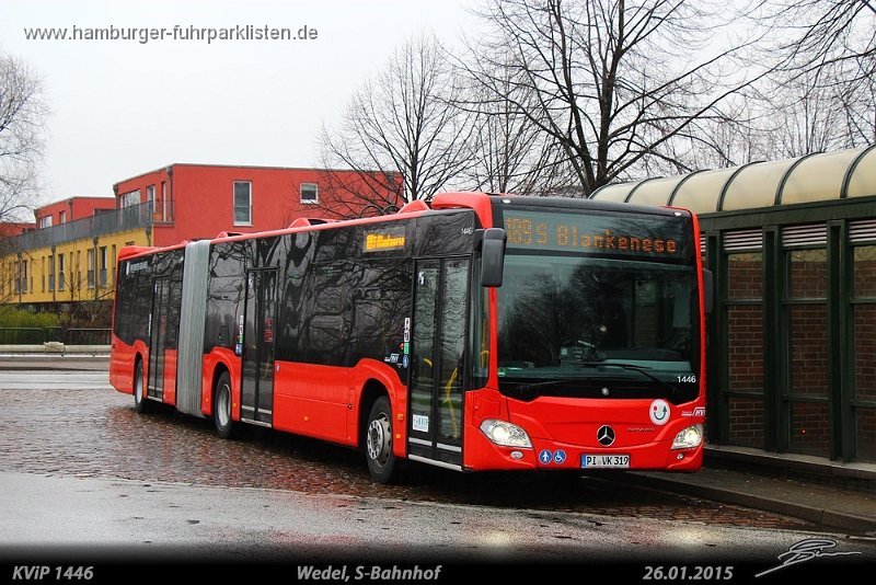 1446-11,KViP,TS.jpg