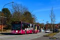 481-27,SL,JN