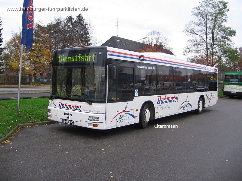 196-12,Dahmetal,CN.JPG