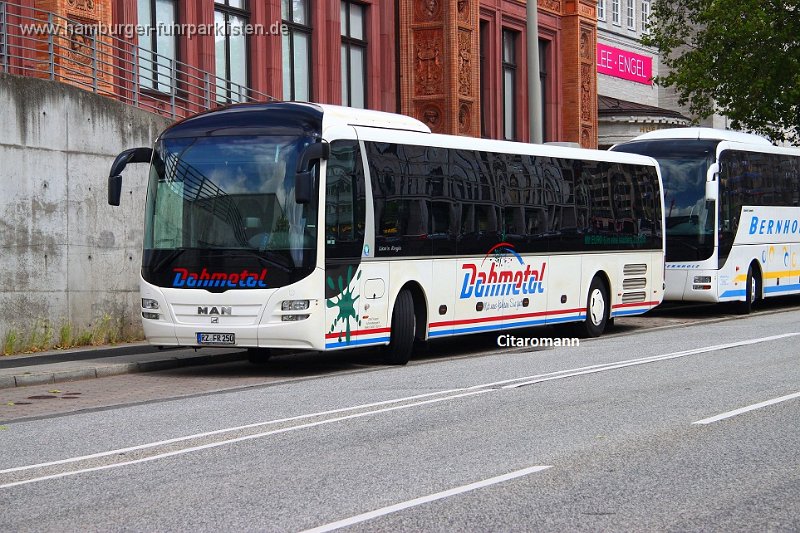 250-12,Dahmetal,CN.JPG