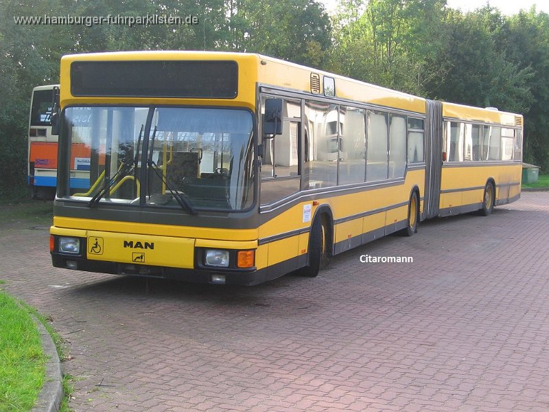 263-12,Dahmetal,CN.JPG