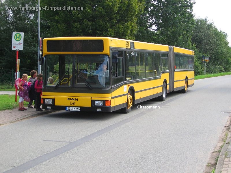 265-17,Dahmetal,CN.JPG