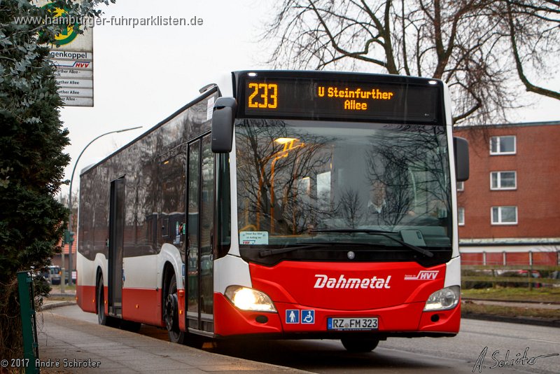 323-11,Dahmetal,AS.jpg