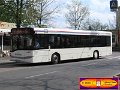 216-12,Dahmetal,CR