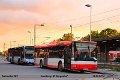 289-11,Dahmetal,TS