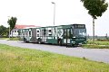 291-21,Dahmetal,CN