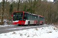 295-17,Dahmetal,CN