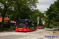 303-22,Dahmetal,JA