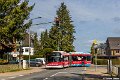325-22,Dahmetal,TS
