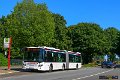 335-12,Dahmetal,JN