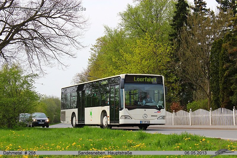 268-11,Dahmetal,TS.jpg