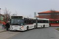 251-22,Dahmetal,DB
