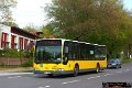258-12,Dahmetal,JN