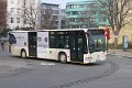 262-21,Dahmetal,CN