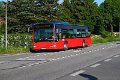 301-12,Dahmetal,CN
