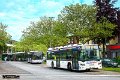 338-11,Dahmetal,JN
